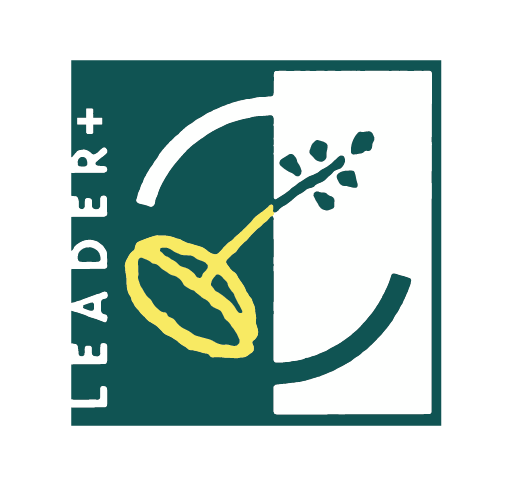 Leader